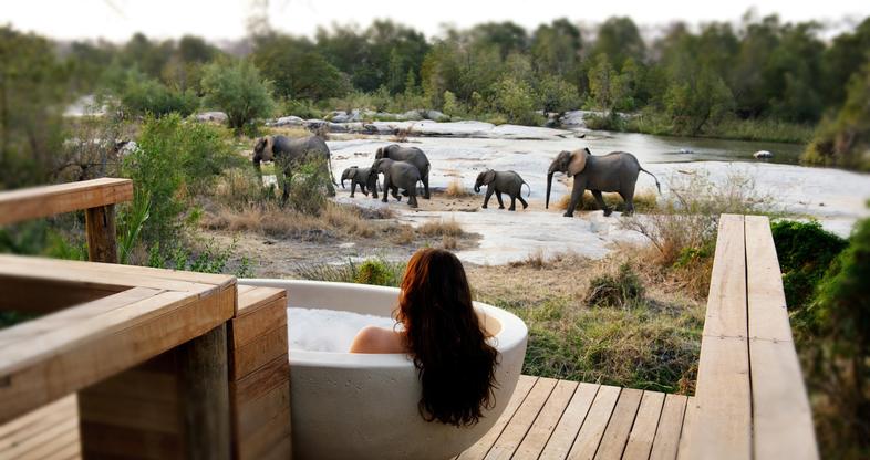 Private Safari